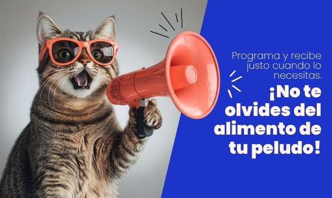 banner programa tu pedido