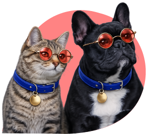 perro y gato patupet