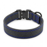 collar para perro