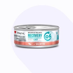 disugual-cat-recovery-lata-salmon