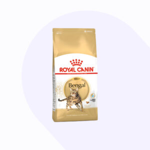royal-canin-bengala-adulto