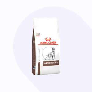 royal-canin-gastrointestinal-perro