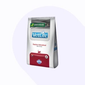 gastrointestinal-gato-2-kg